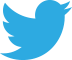 Twitter Icon